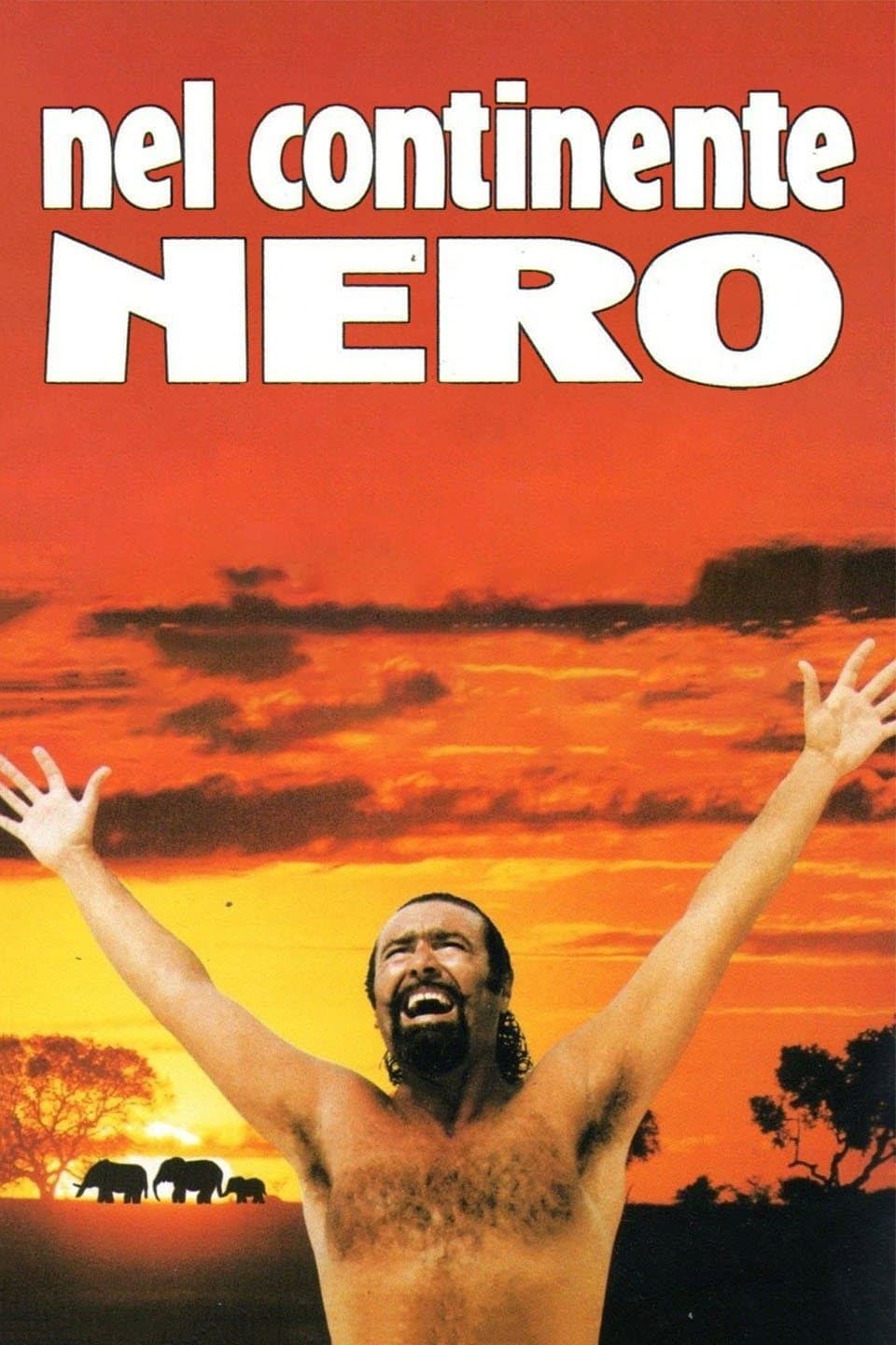 Poster di Nel continente nero