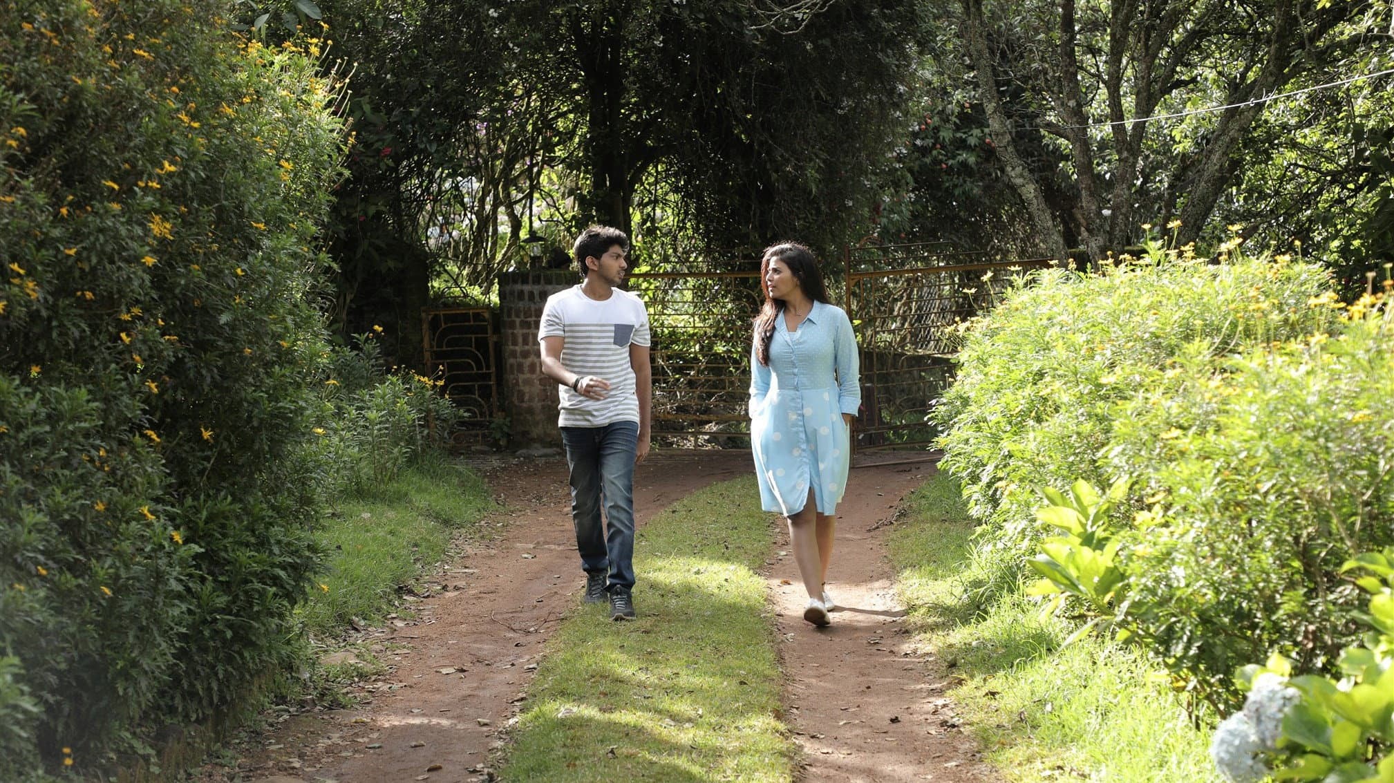லிசா - immagine