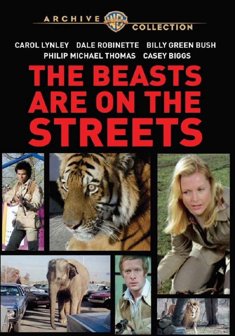Poster di The Beasts Are on the Streets