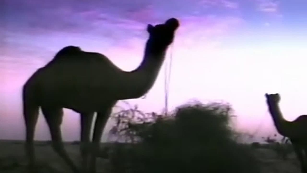 L'ozone n'a qu'une bosse - immagine