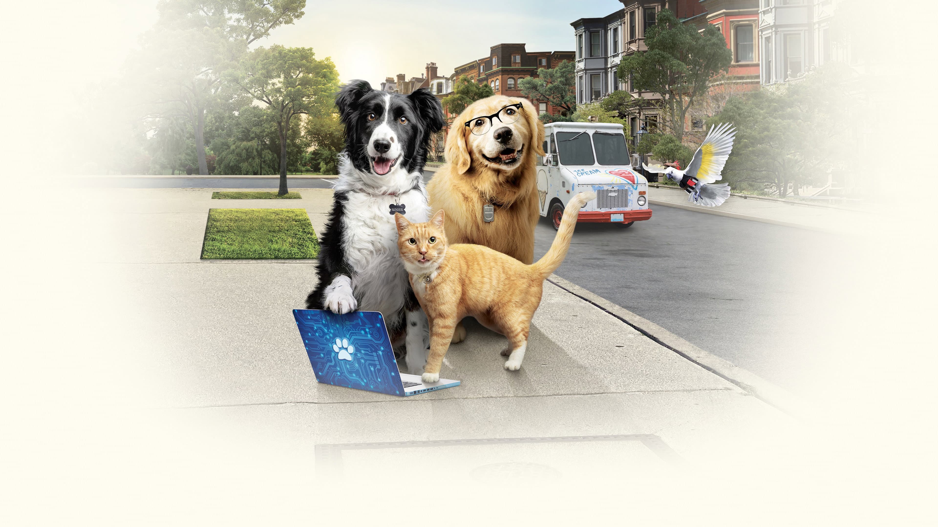Cani e gatti 3 - Zampe unite - immagine