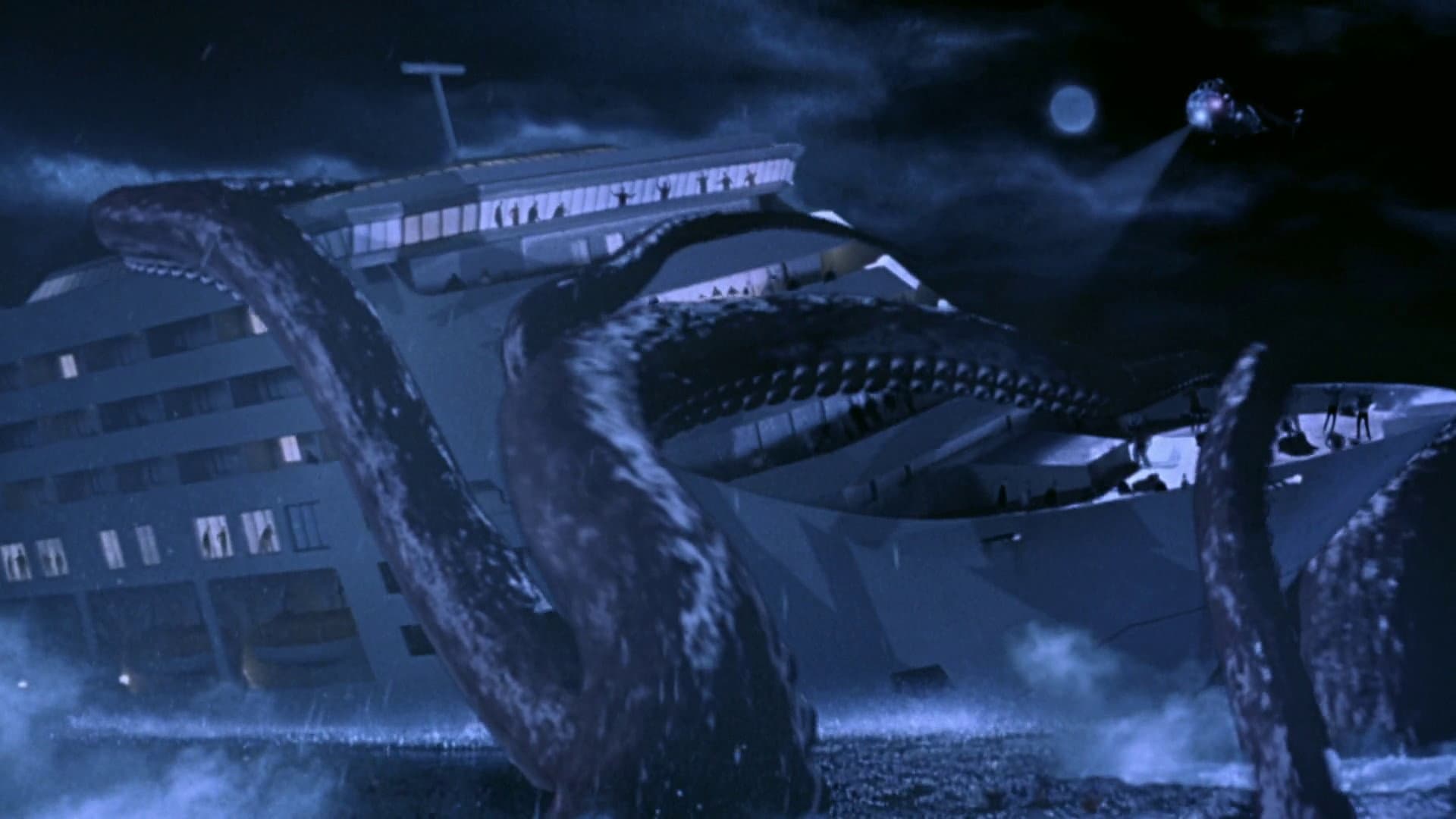 Octopus - La piovra - immagine
