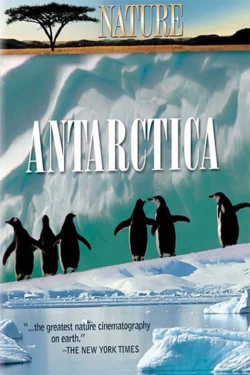 Poster di Under Antarctic Ice