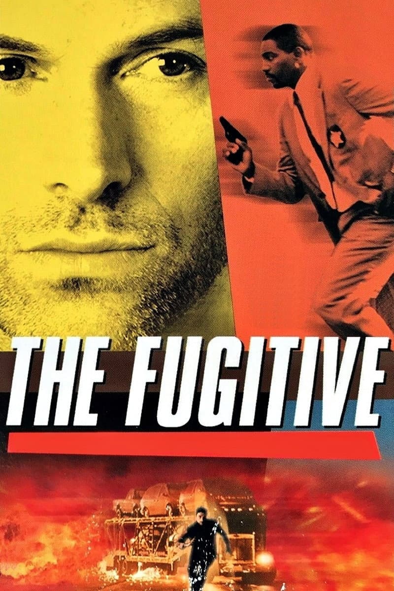 Poster di Il Fuggitivo