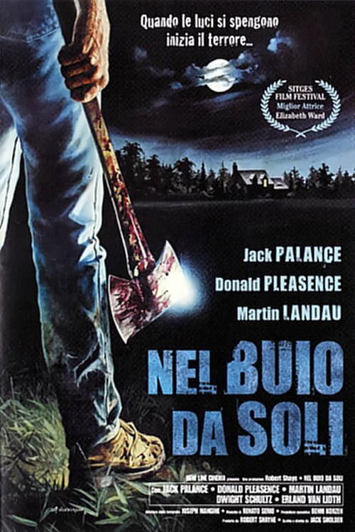 Poster di Nel buio da soli