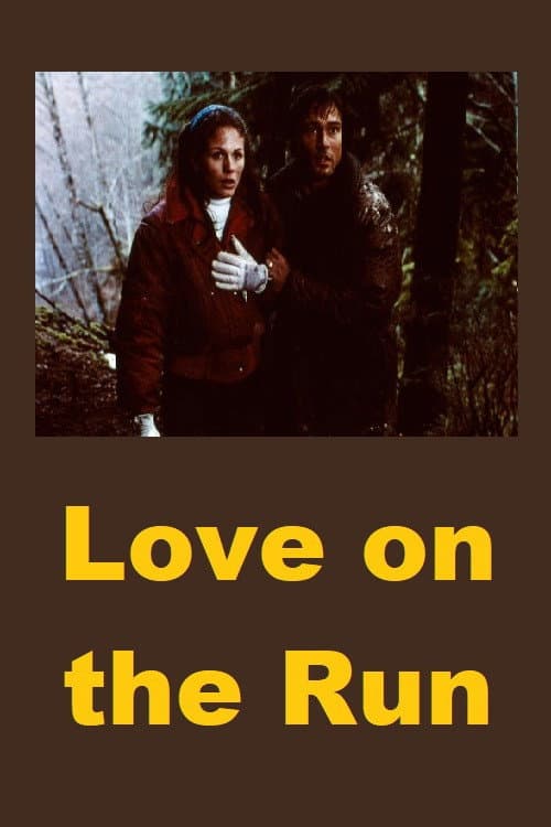 Poster di Love on the Run