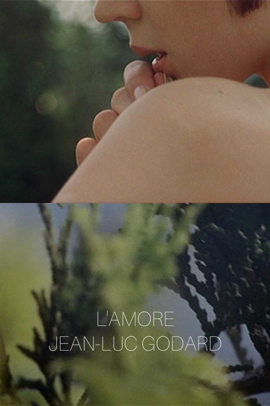 Poster di L'amore