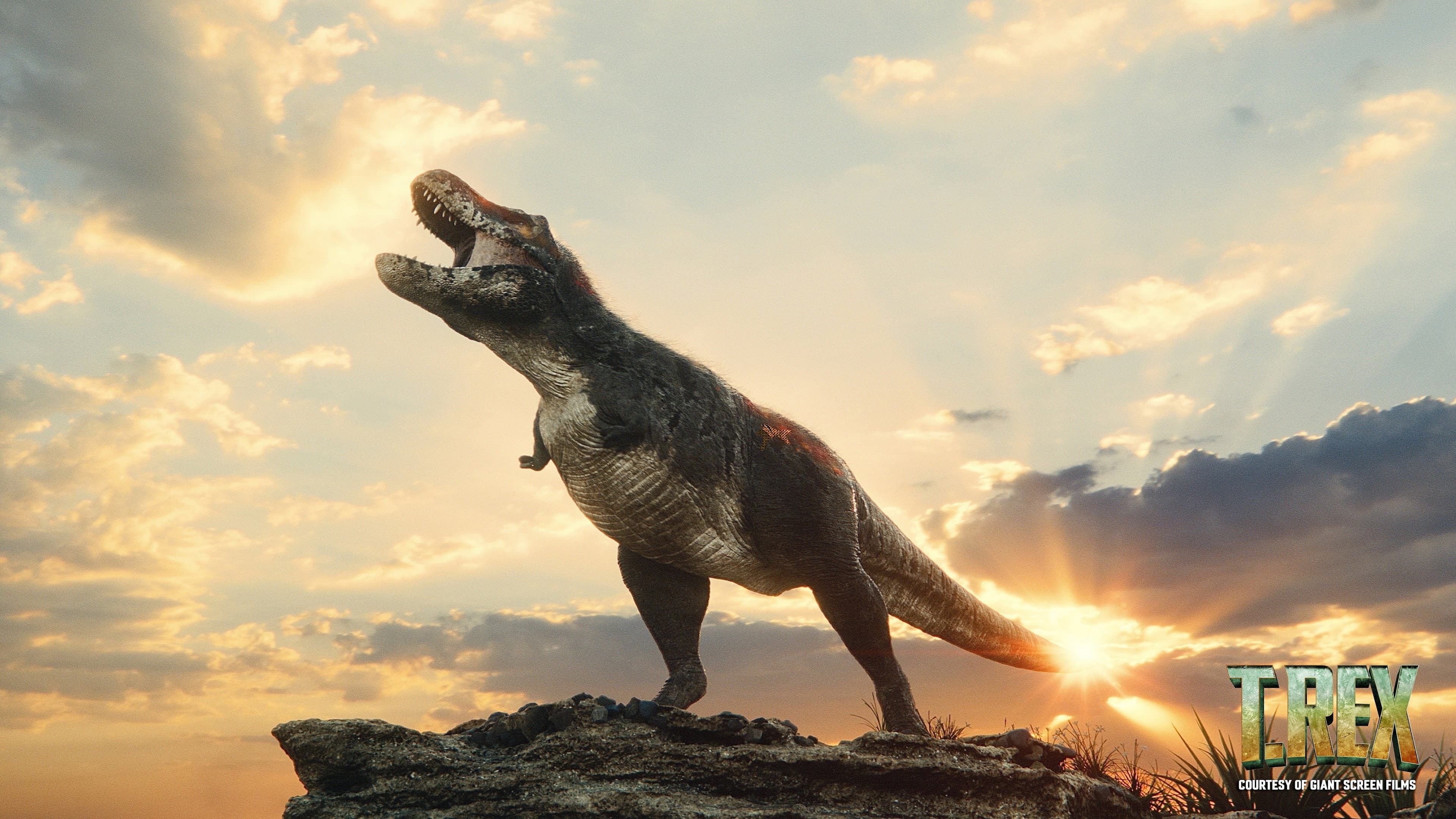 T. REX - immagine