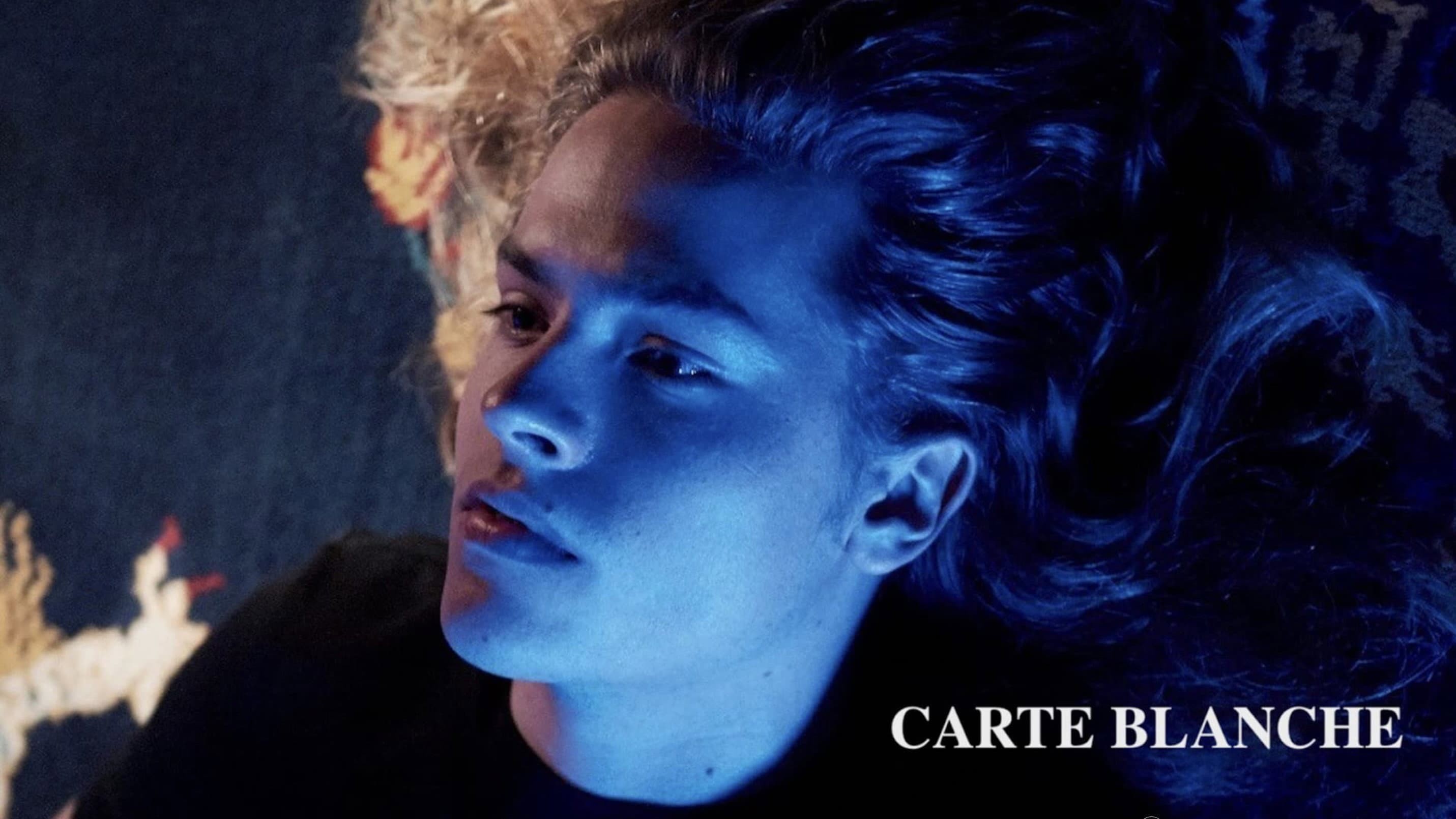 Carte Blanche - immagine