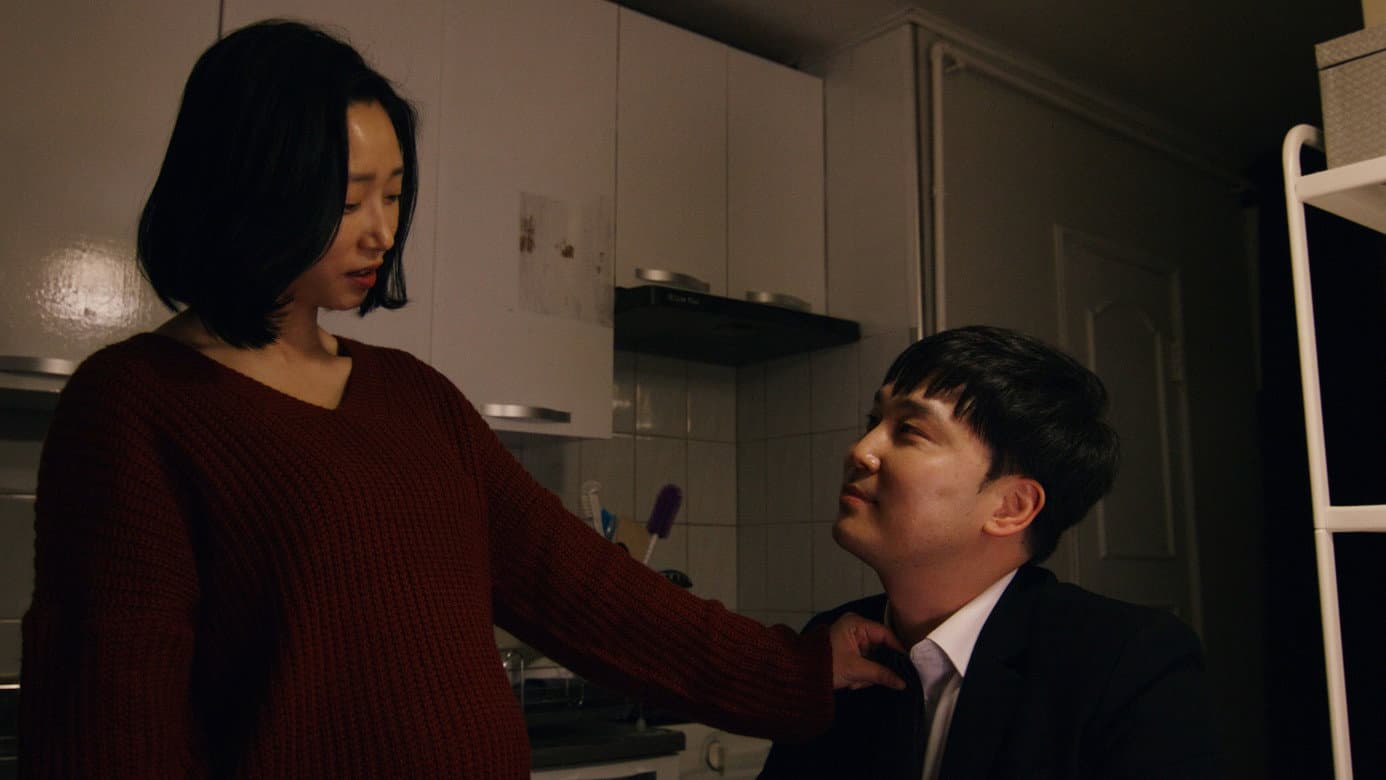 세이레 - immagine