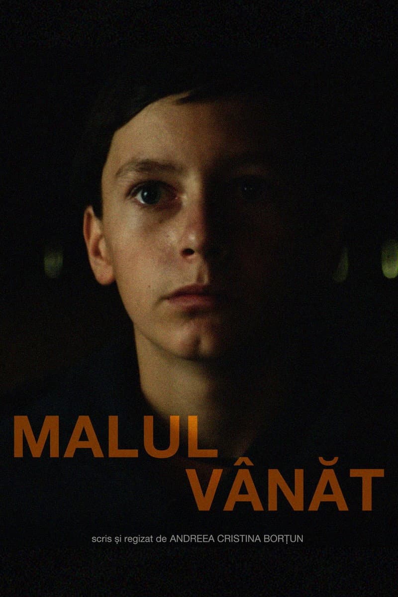 Poster di Malul Vânăt