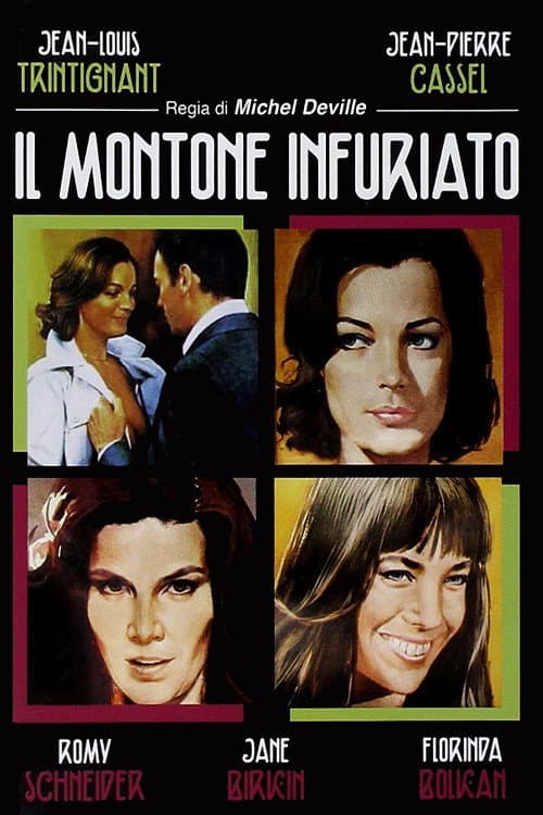 Poster di Il montone infuriato
