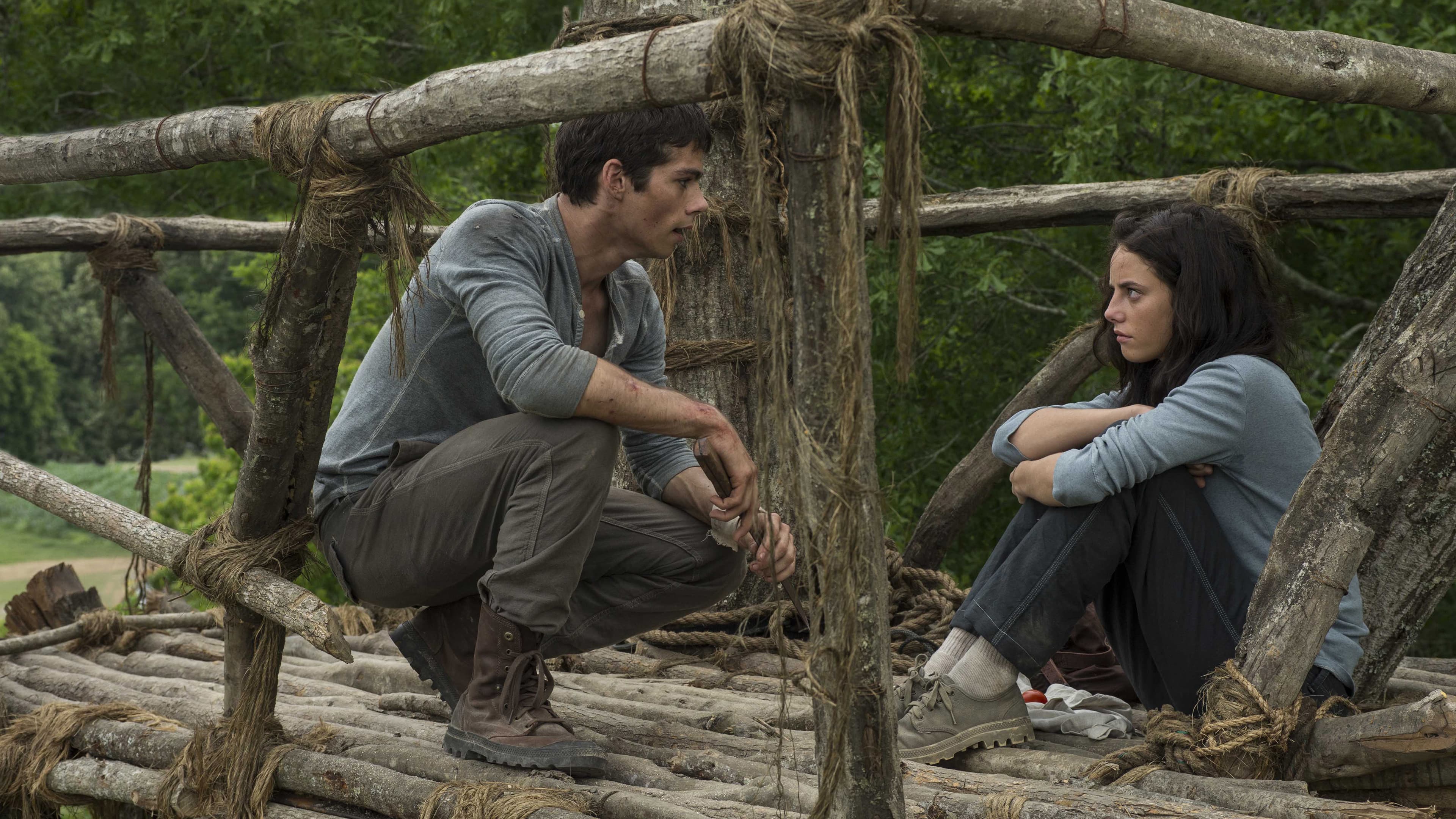 Maze Runner - Il labirinto - immagine