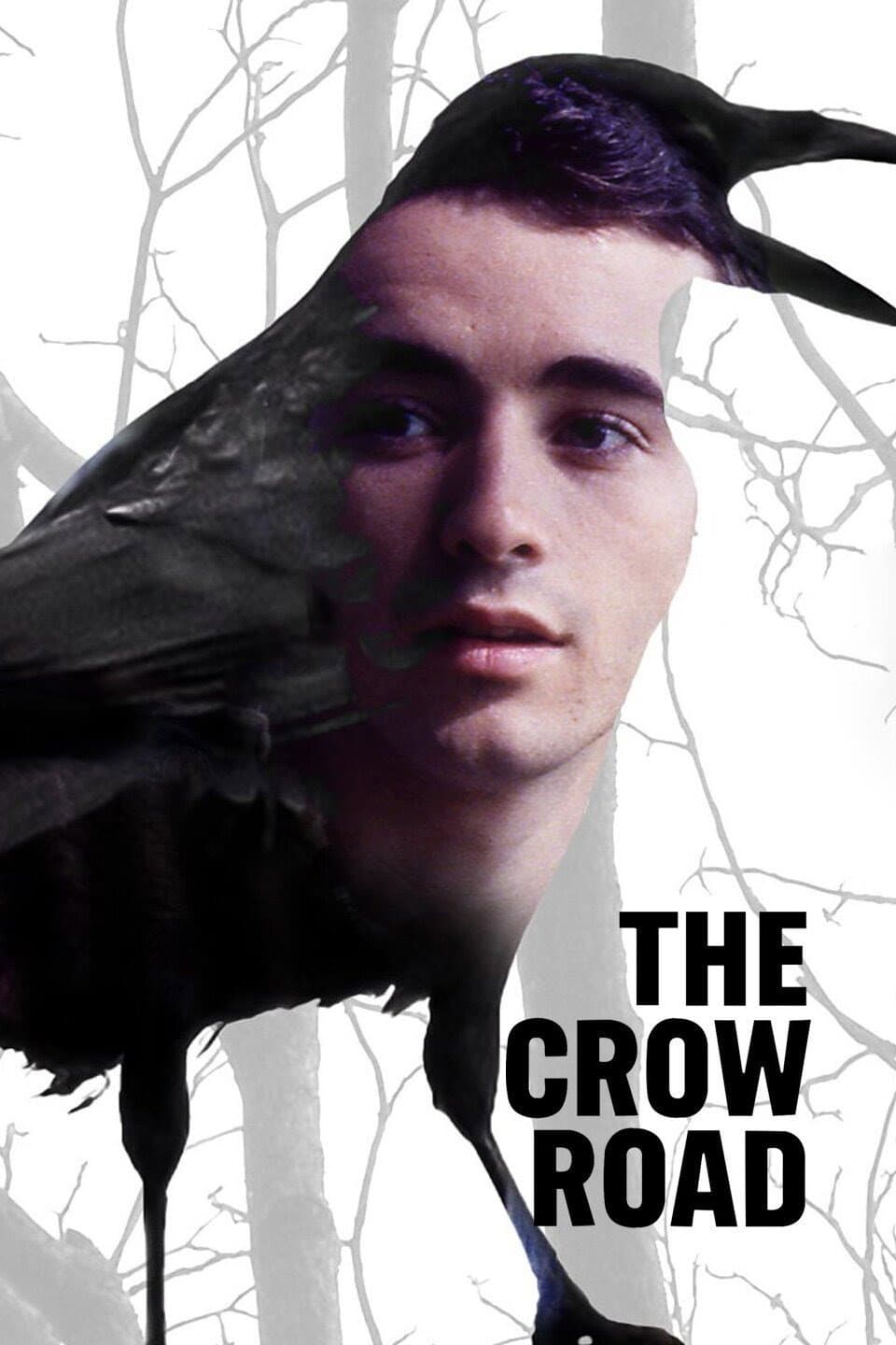 Poster di The Crow Road