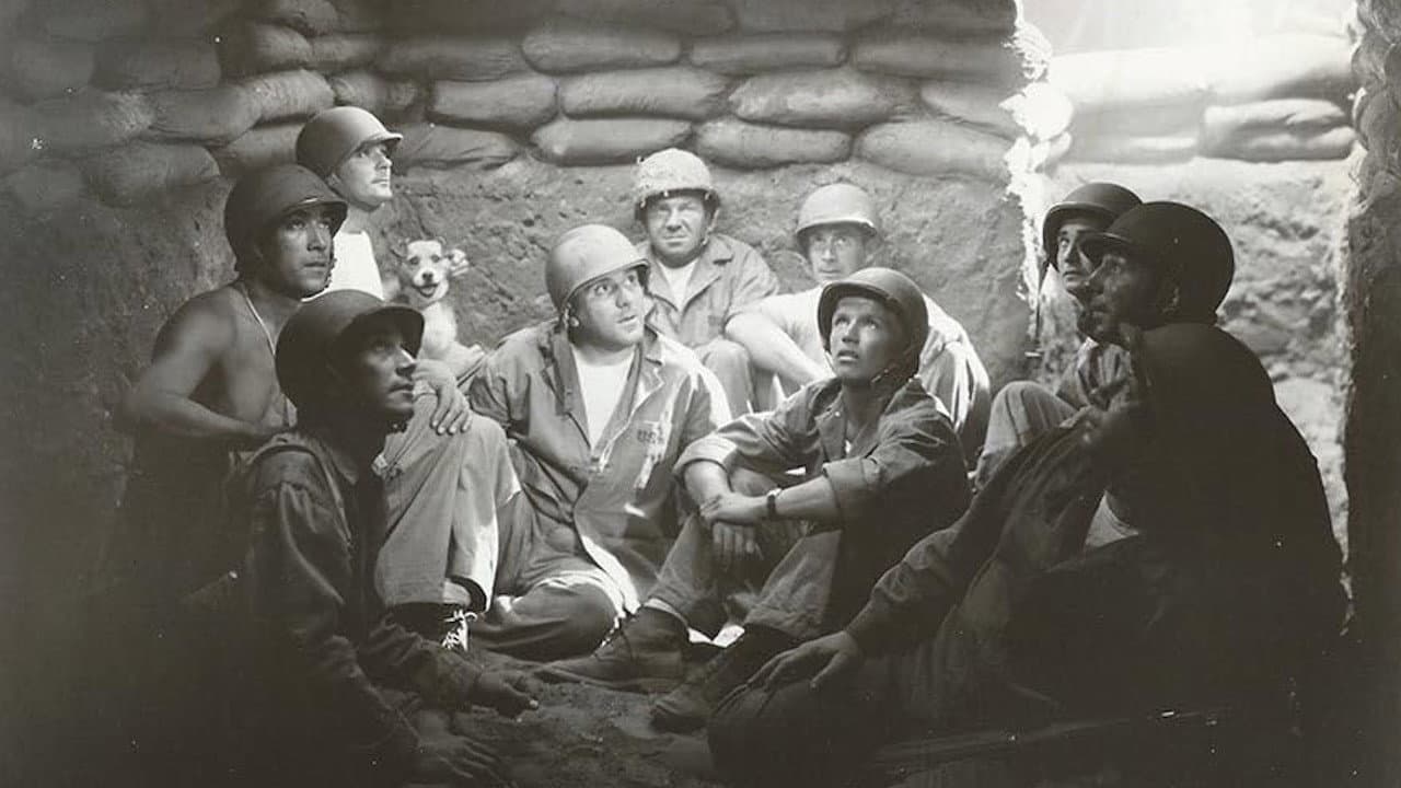 Guadalcanal - immagine
