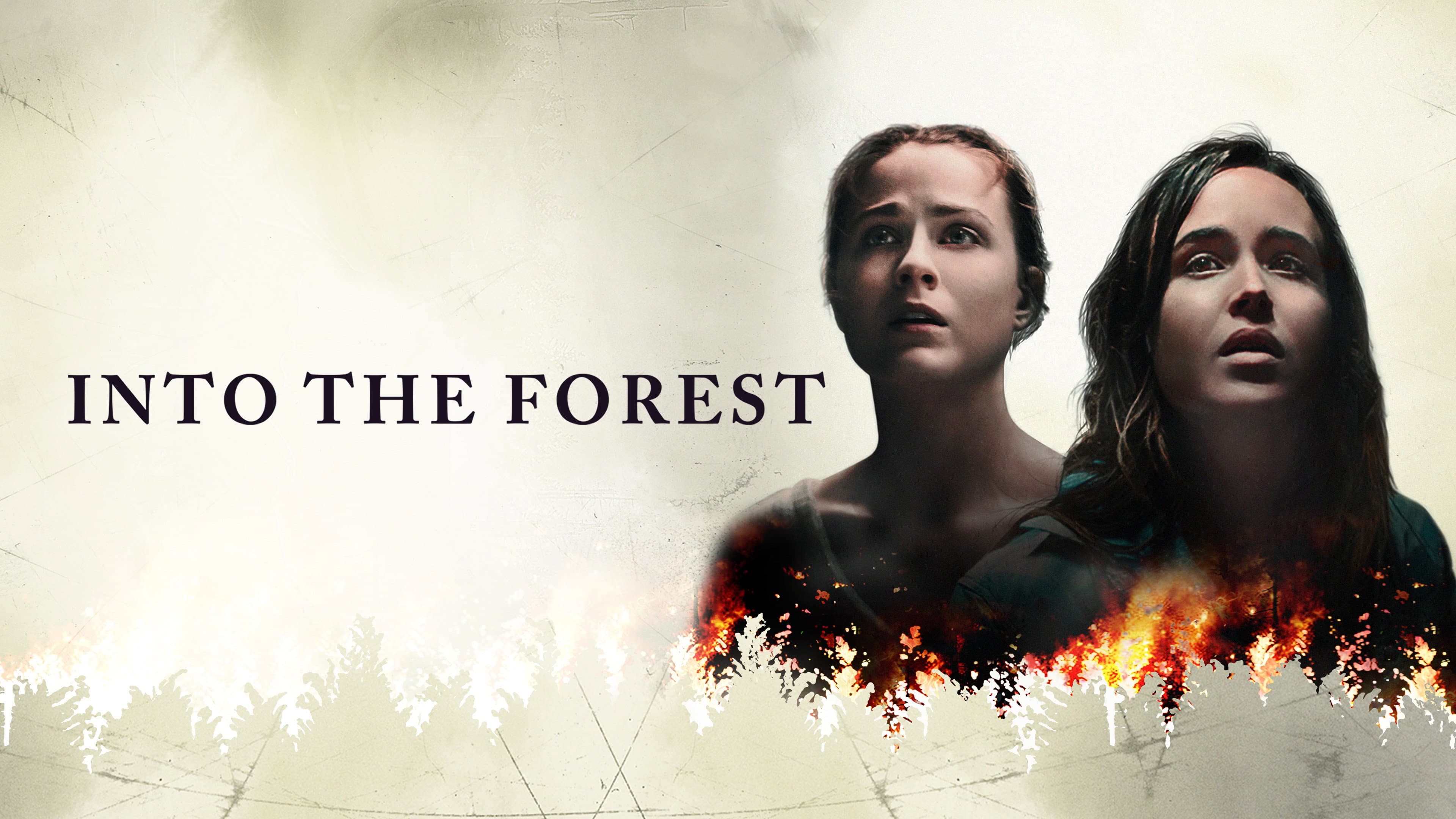 Into the Forest - immagine