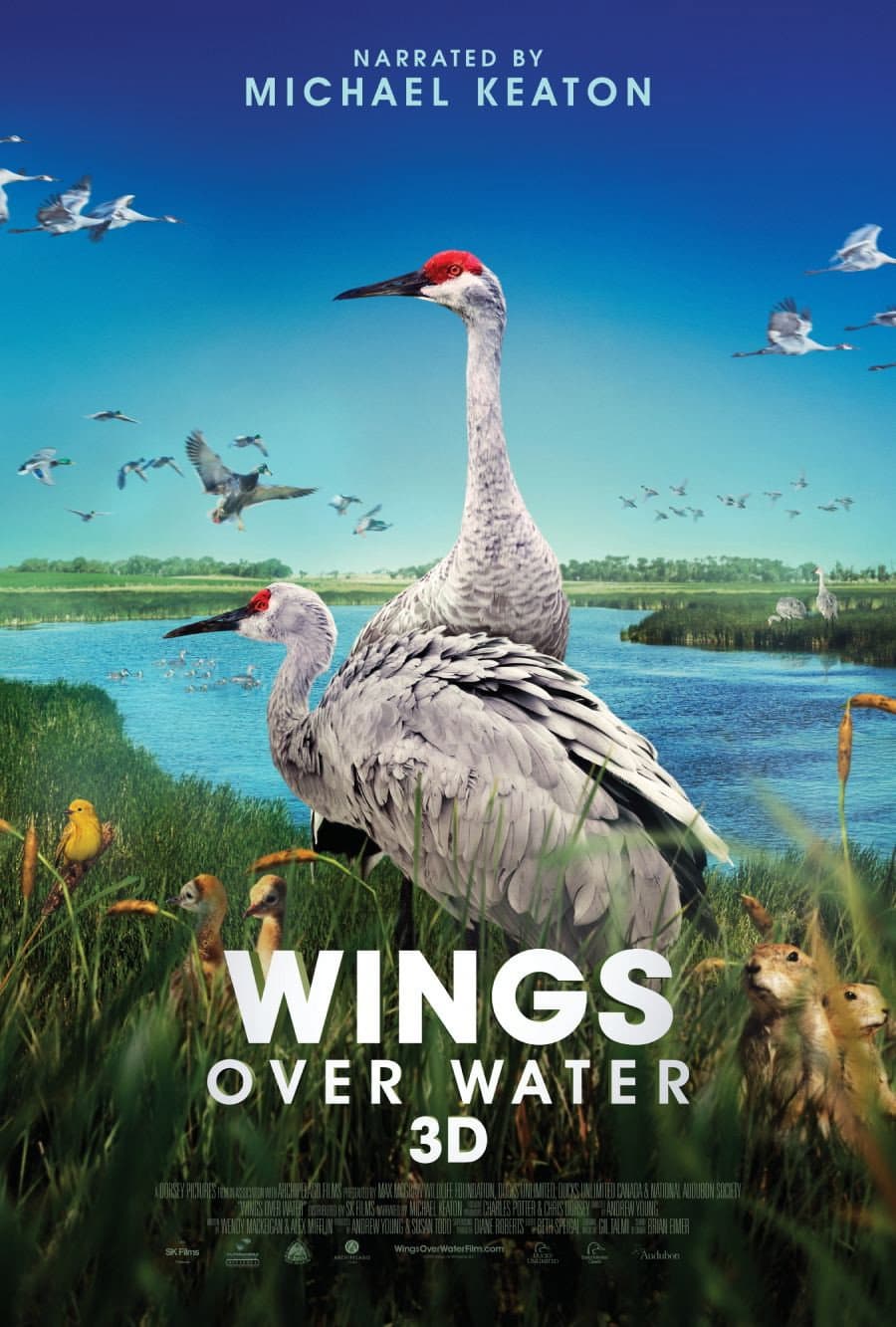 Poster di Wings Over Water