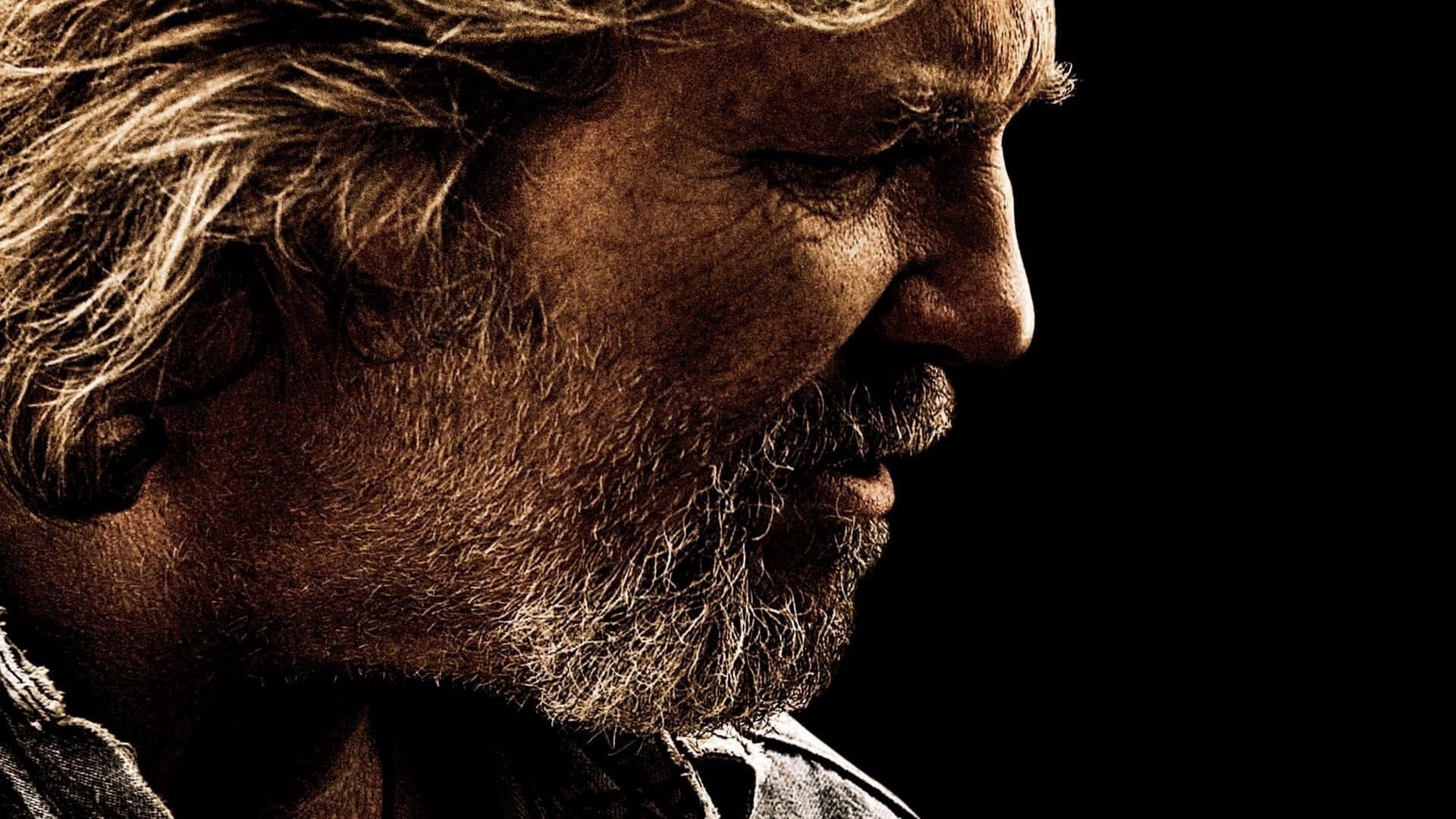 Crazy Heart - immagine