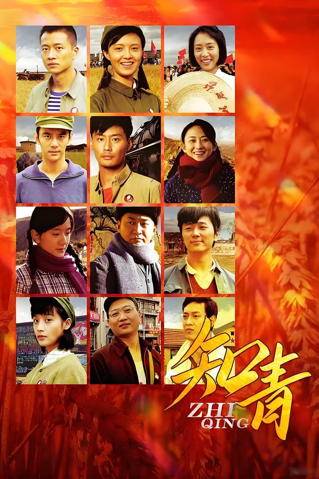 Poster di 知青