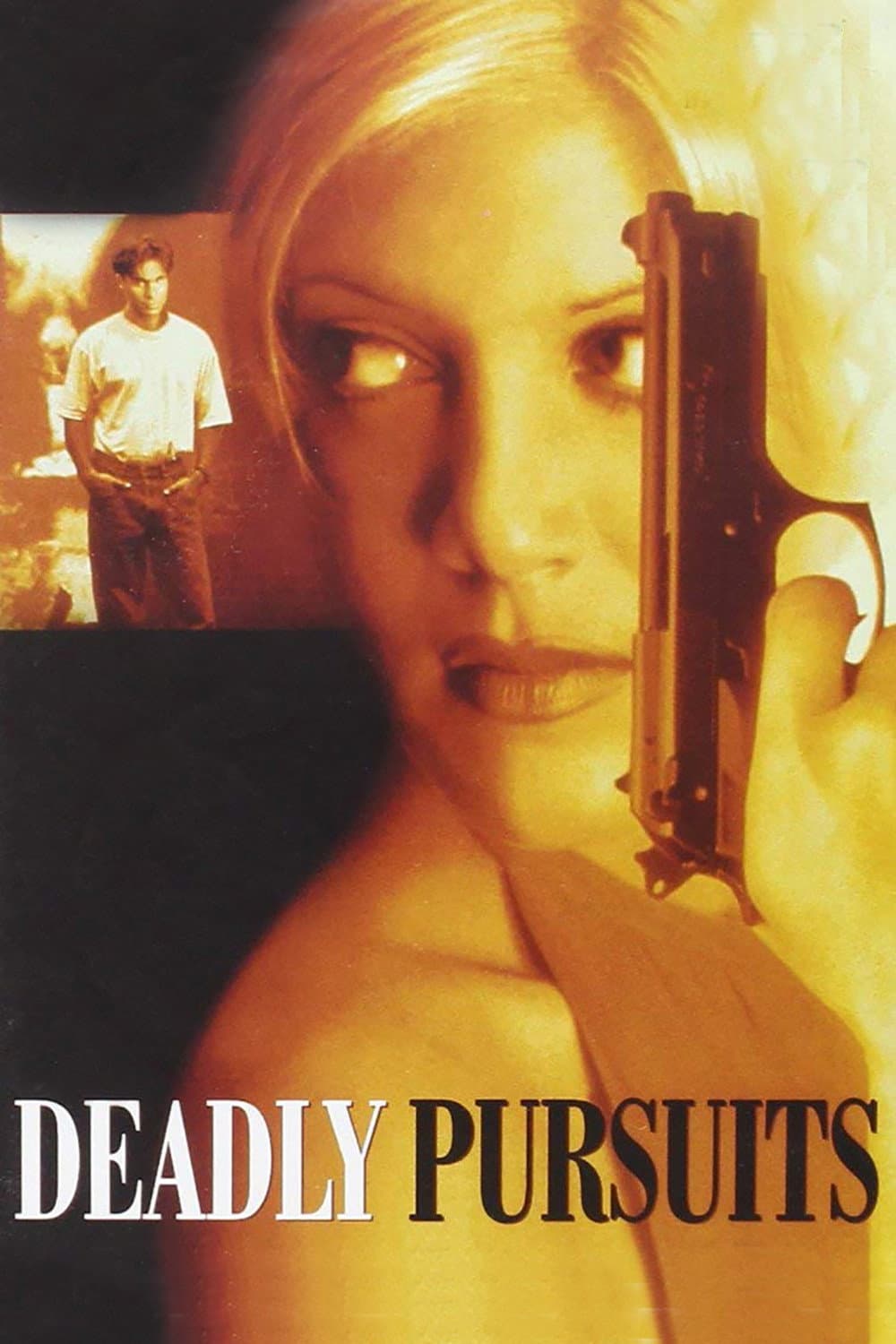 Poster di Deadly Pursuits