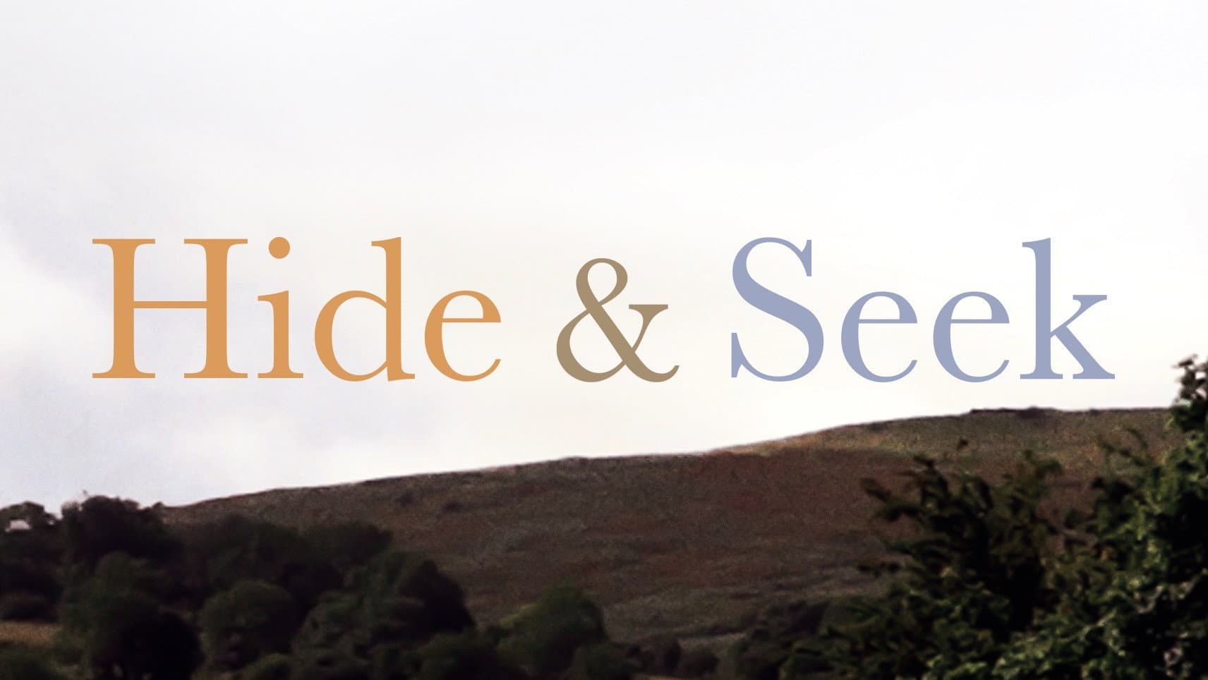 Hide and Seek - immagine