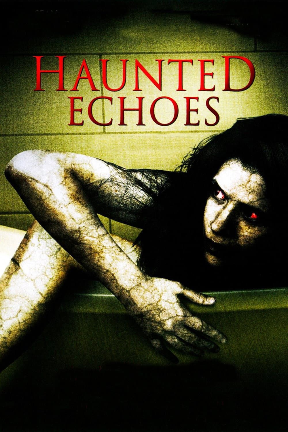 Poster di Haunted Echoes
