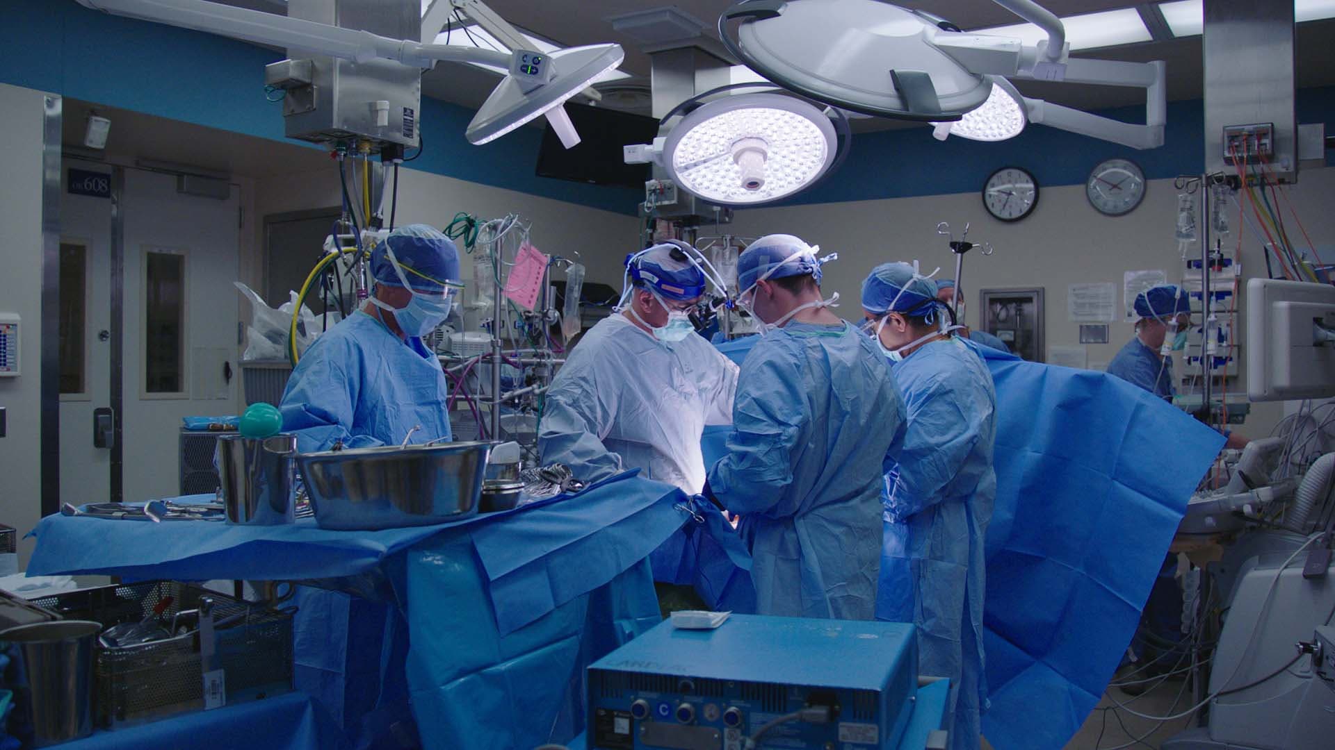 The Mayo Clinic - immagine