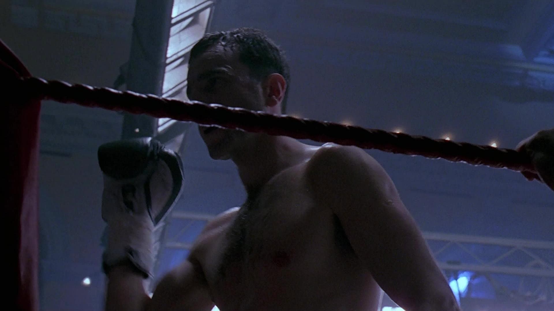 The Boxer - immagine