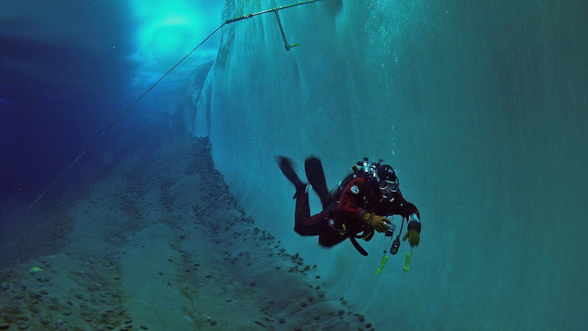 Encounters at the End of the World - immagine