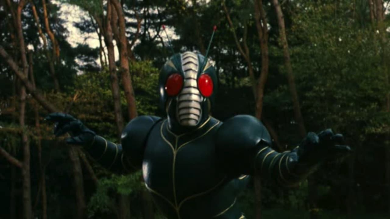 仮面ライダーZO - immagine