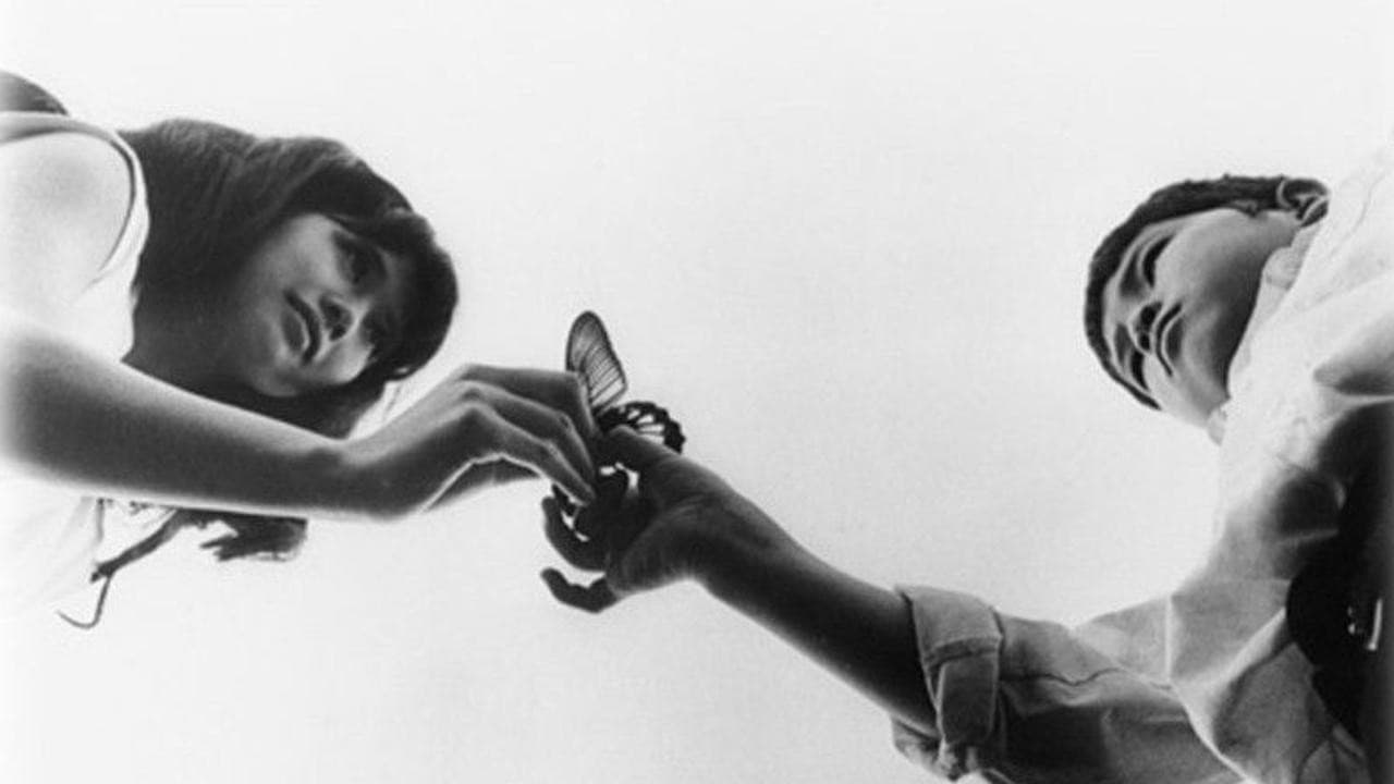 Silence Has No Wings - immagine