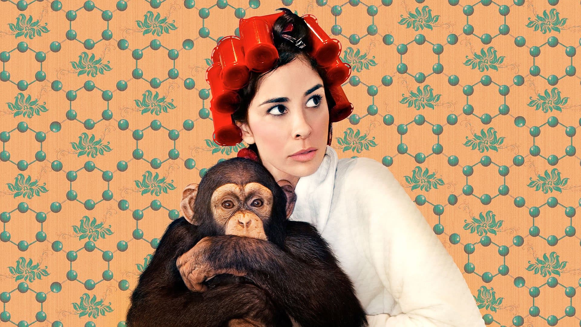 Sarah Silverman: We Are Miracles - immagine