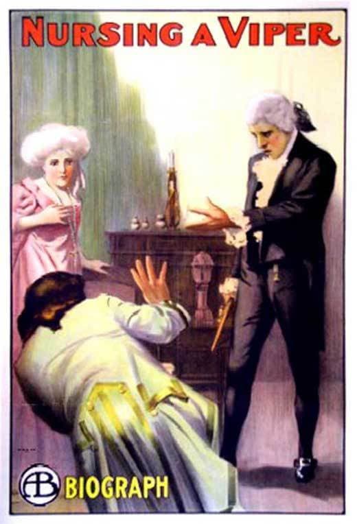 Poster di Nursing a Viper