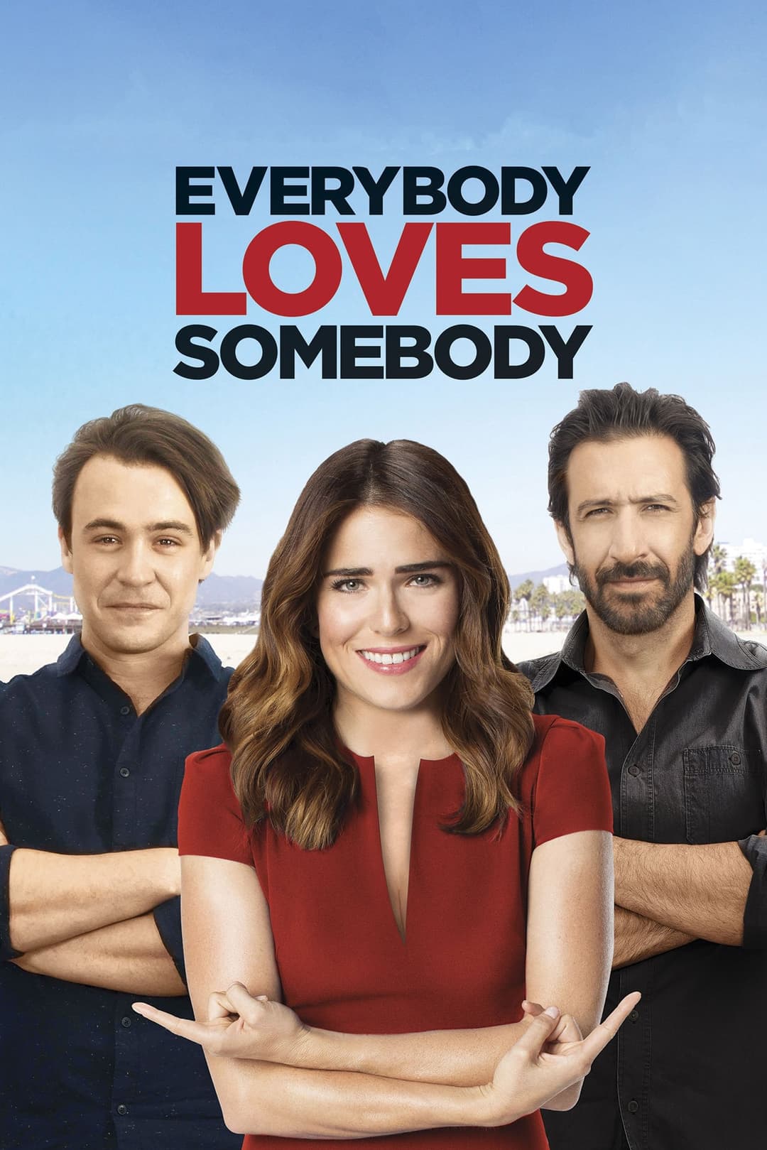 Poster di Everybody Loves Somebody