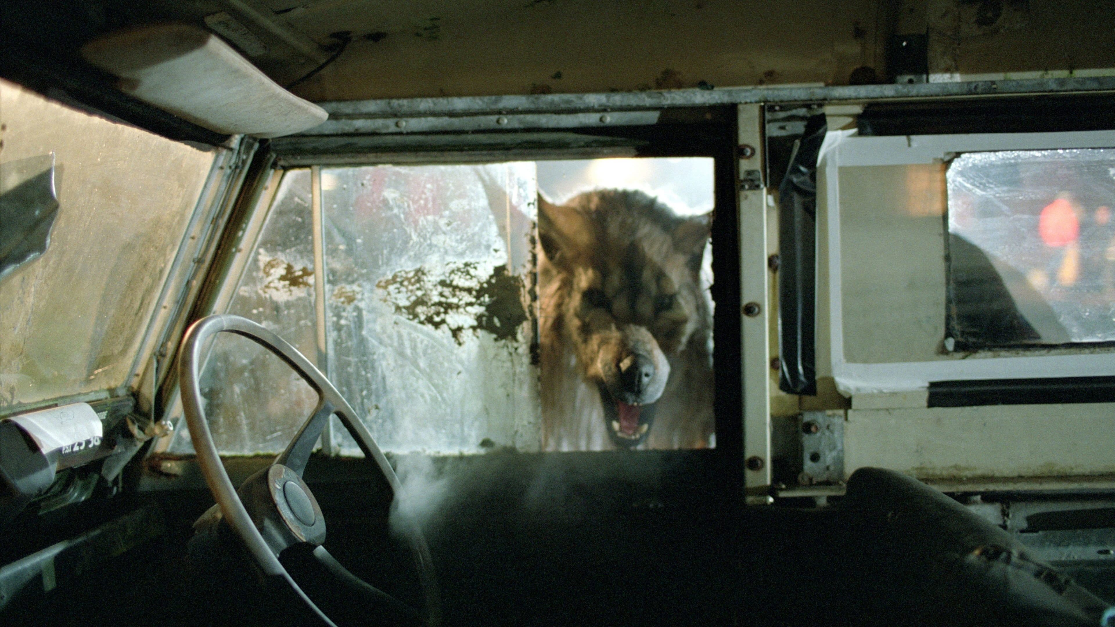Dog Soldiers - immagine