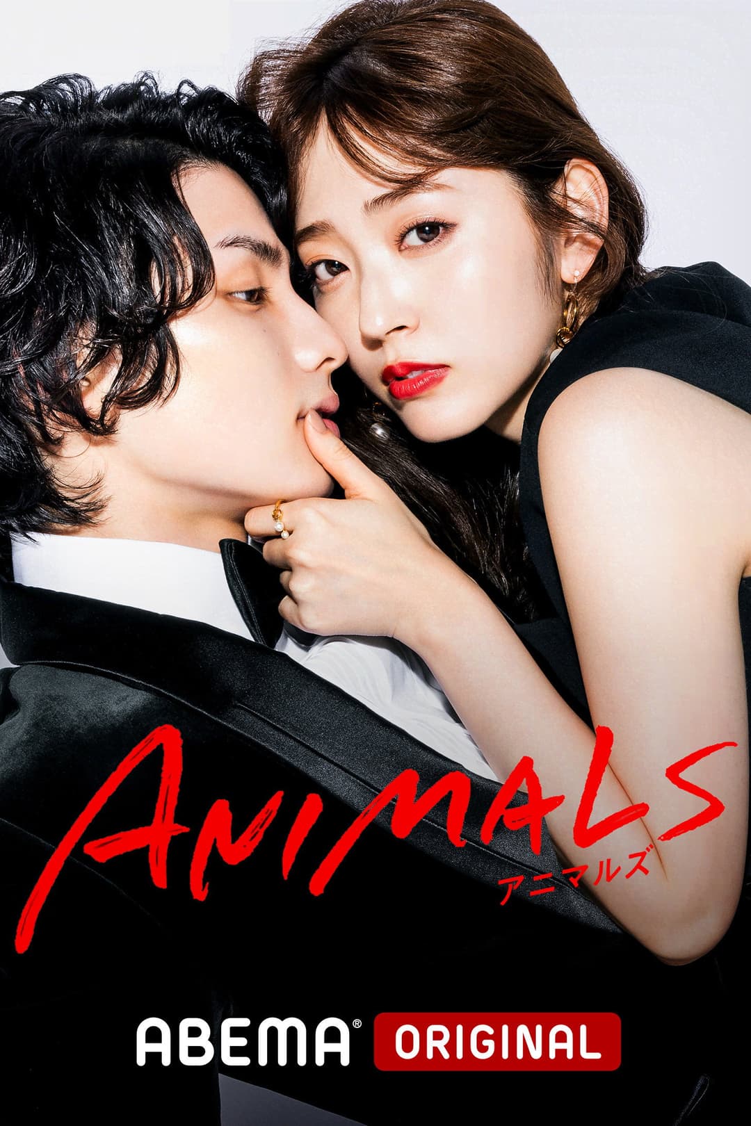 Poster di アニマルズ
