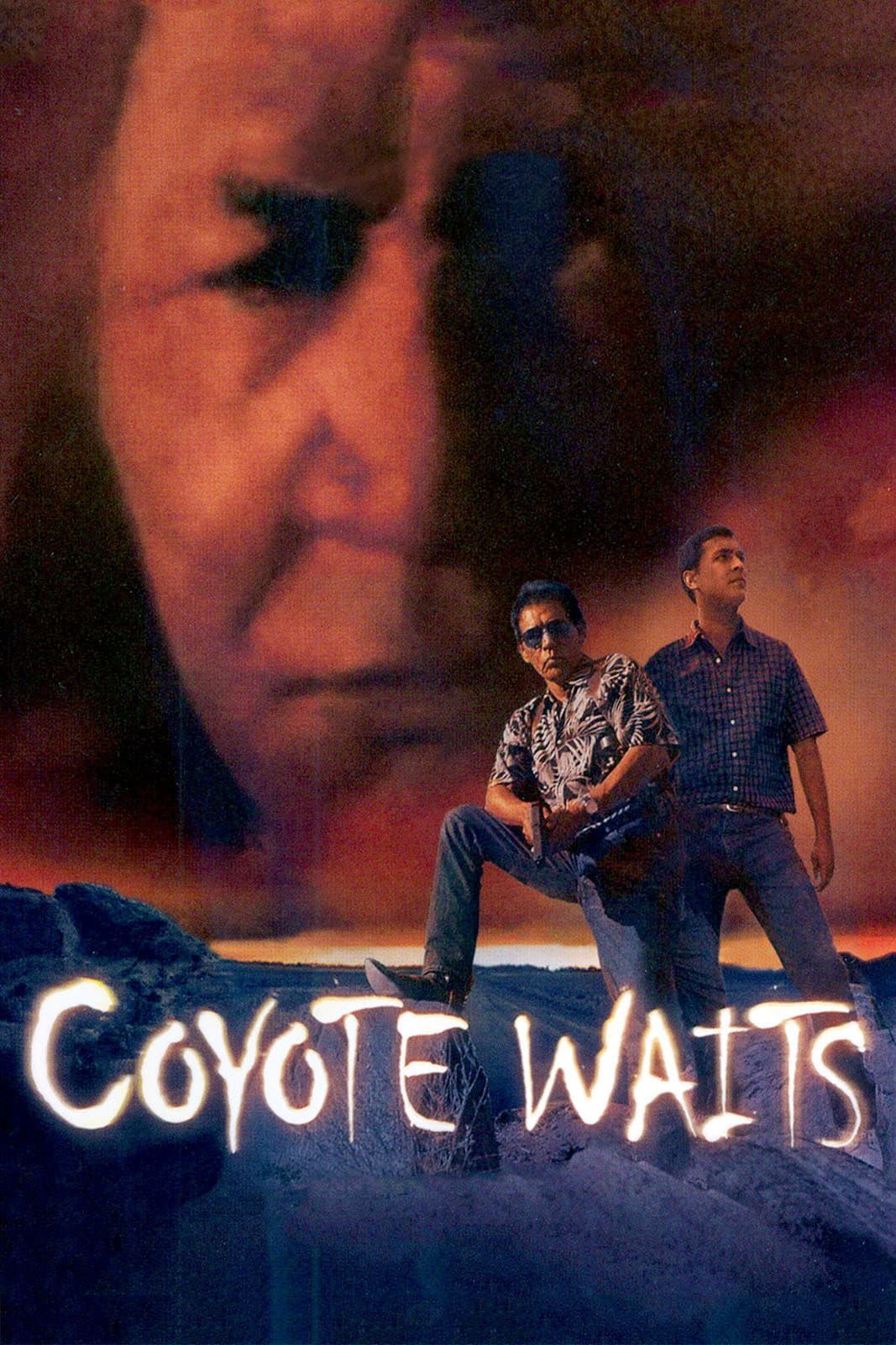 Poster di Coyote Waits