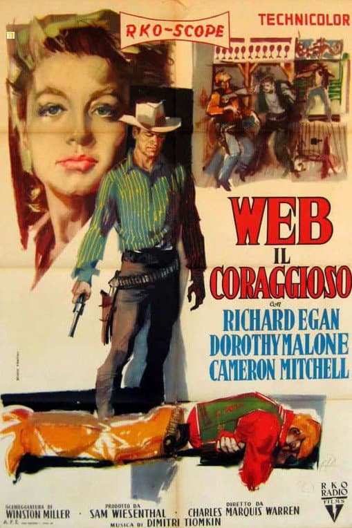 Poster di Web il coraggioso