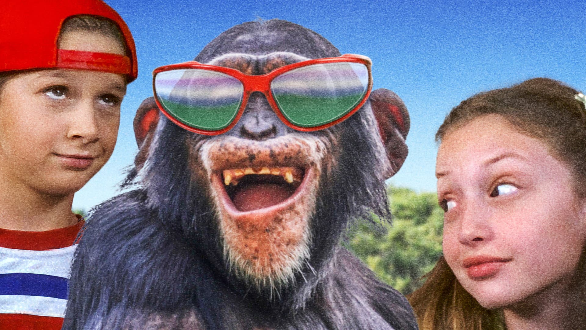 Monkey Business - immagine