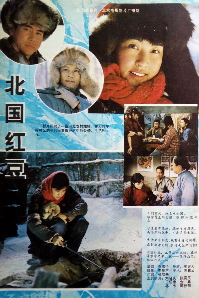 Poster di 北国红豆