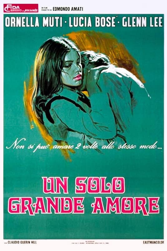 Poster di Un solo grande amore