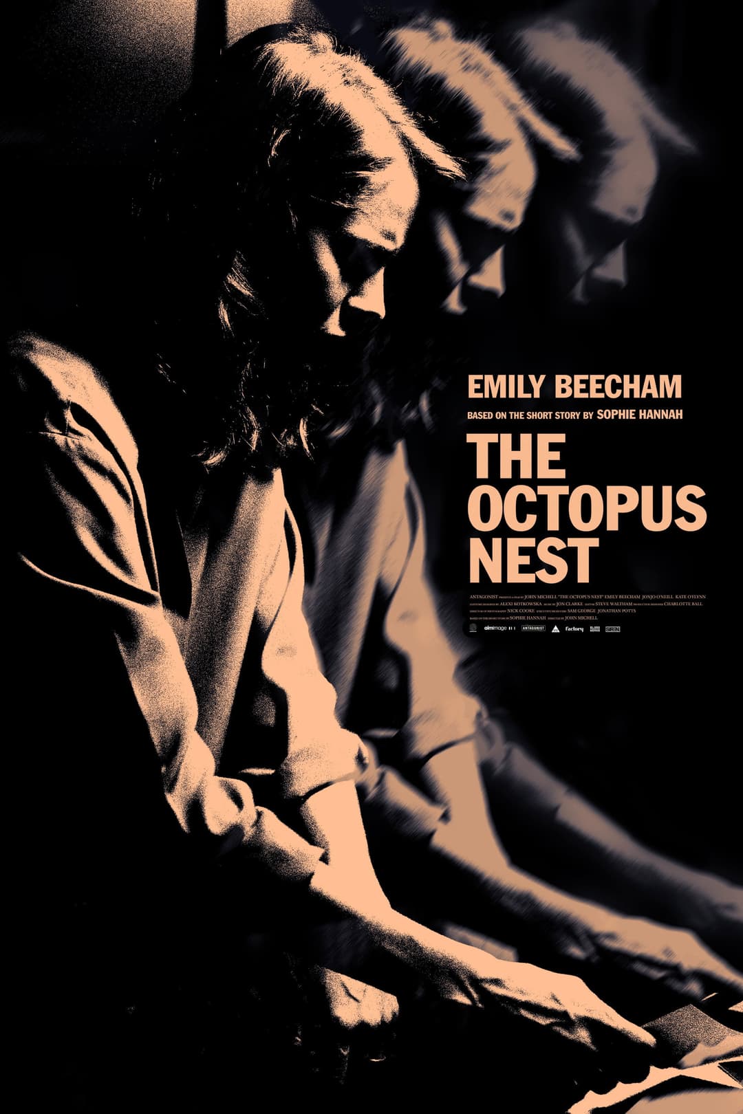 Poster di The Octopus Nest
