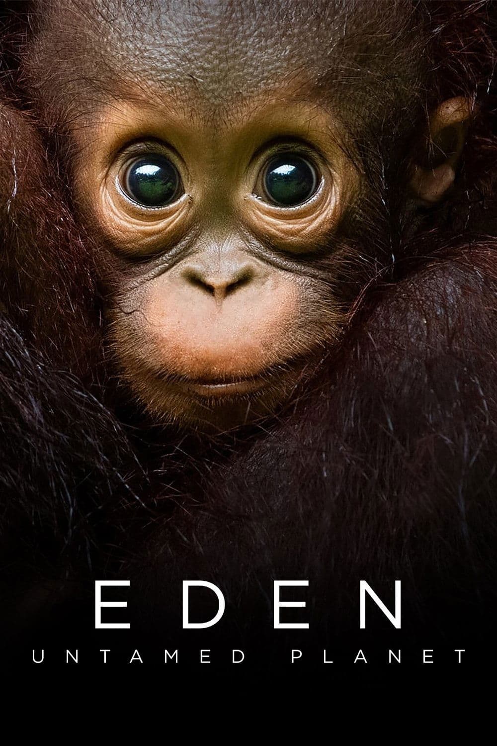 Poster di Eden: Untamed Planet
