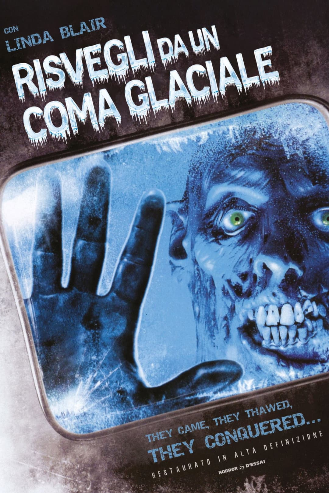 Poster di Risvegli da un coma glaciale