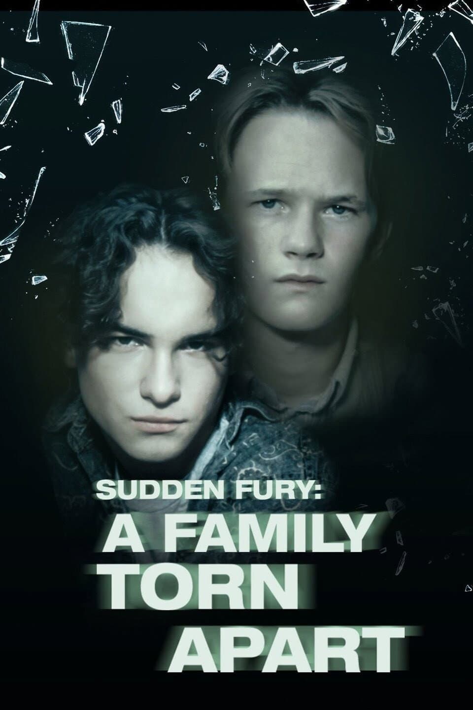 Poster di Sudden Fury