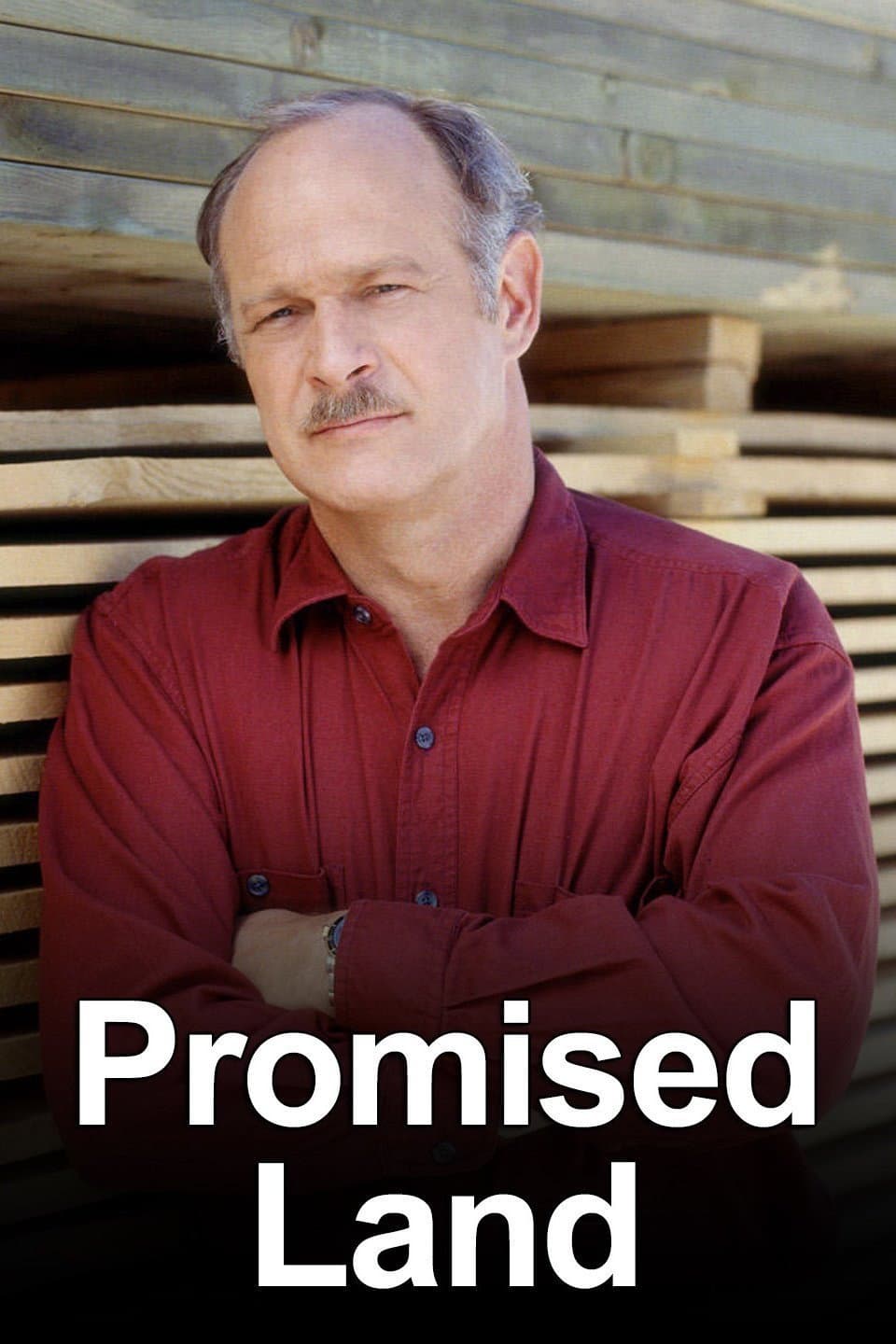 Poster di Promised Land