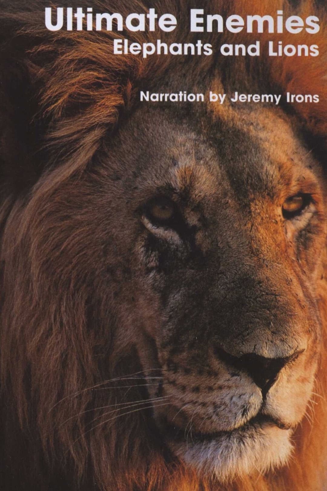 Poster di Ultimate Enemies: Elephants and Lions