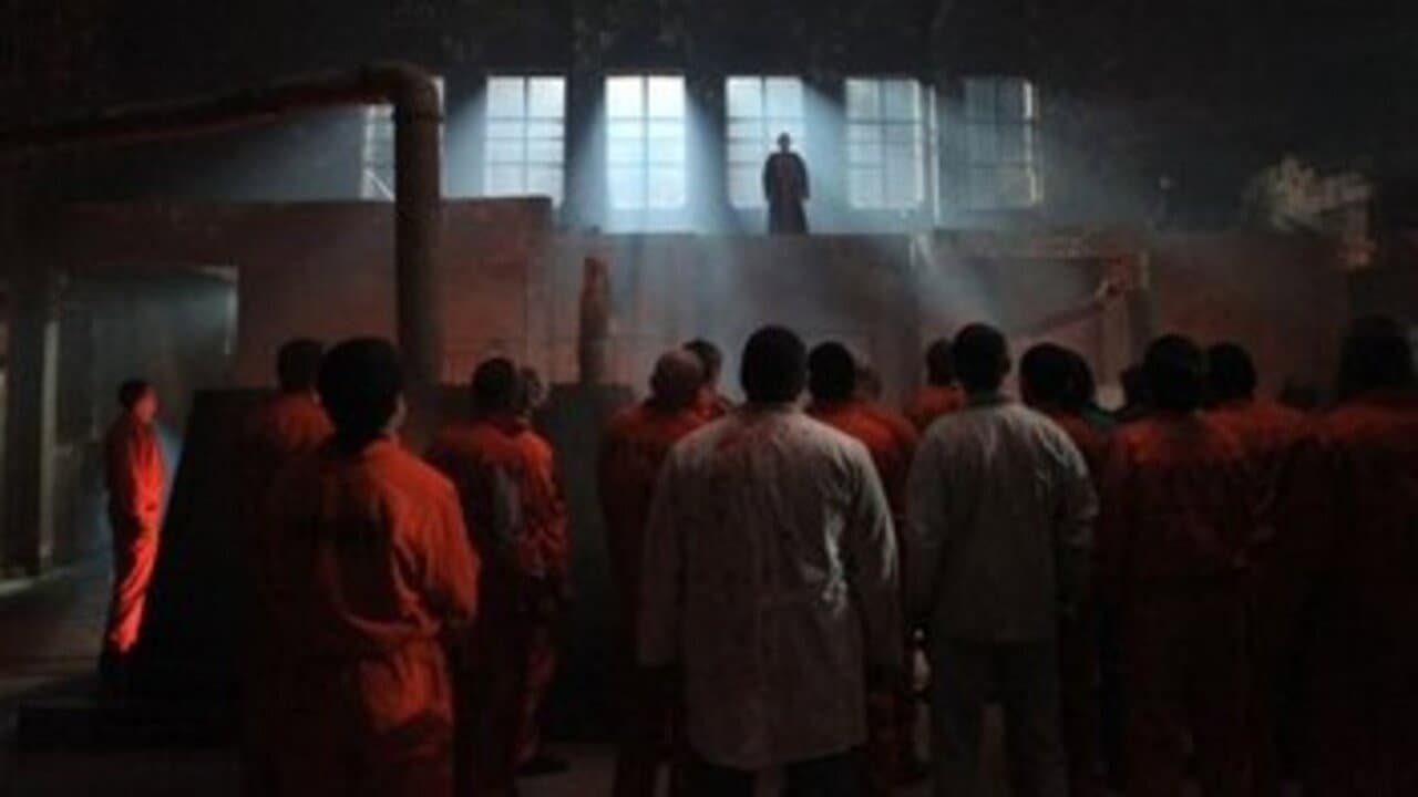 Asylum - immagine