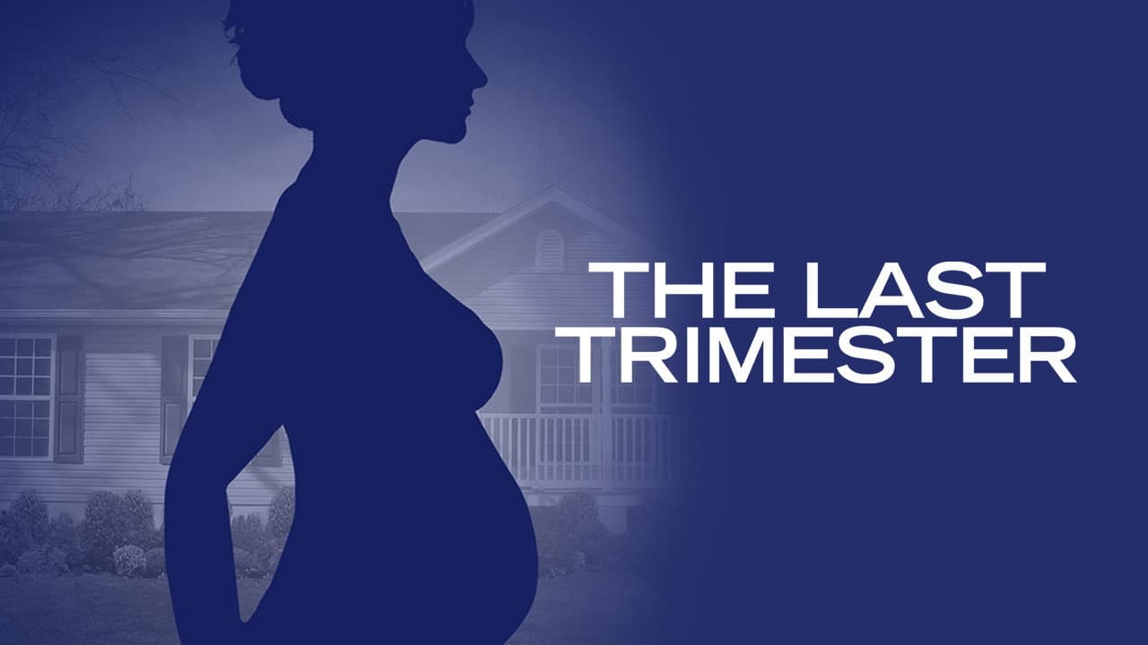 The Last Trimester - immagine