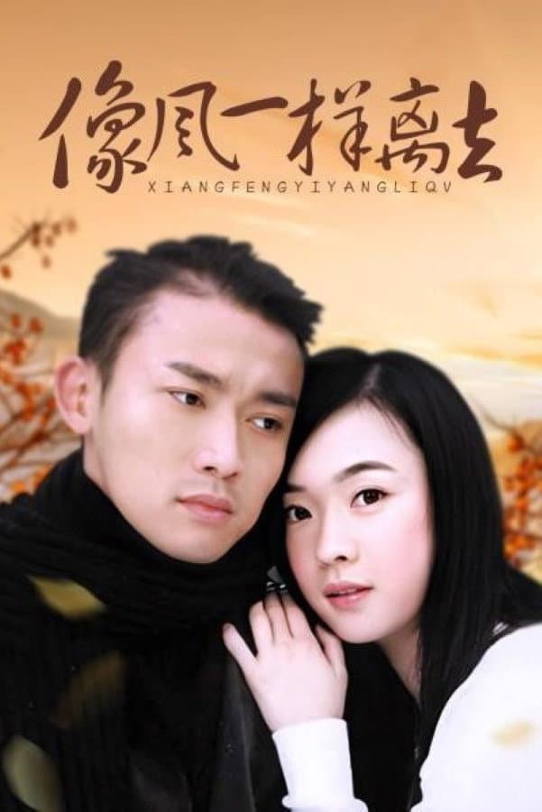 Poster di 像风一样离去